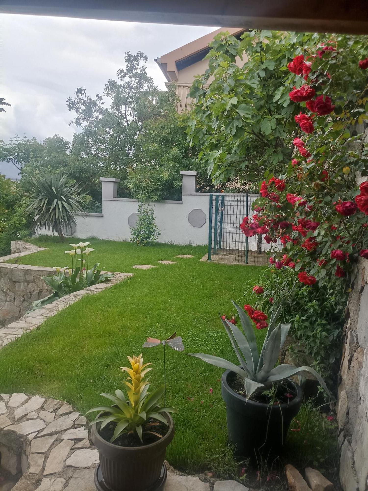 Mini Garsonjera Hotel Podgorica Eksteriør billede
